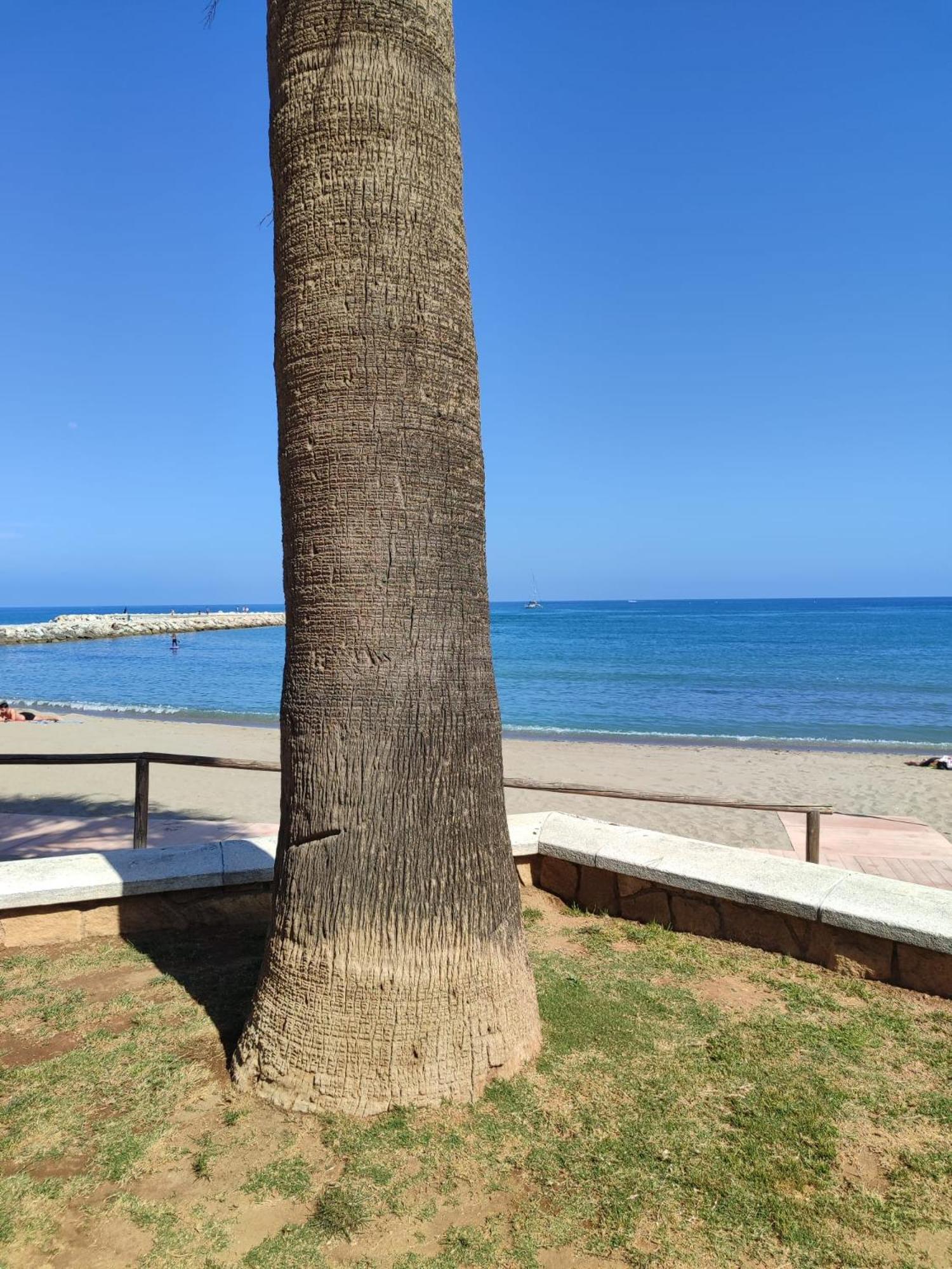 Fuengirola Reyes Beach Eksteriør bilde